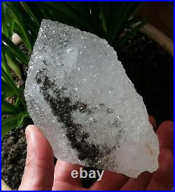 1.64LB Big Amazing Nirvana Quartz RARE Green Ghost Interference Quartz Point