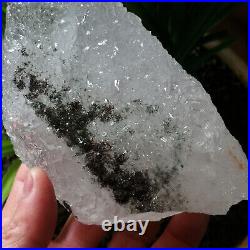 1.64LB Big Amazing Nirvana Quartz RARE Green Ghost Interference Quartz Point