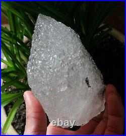 1.64LB Big Amazing Nirvana Quartz RARE Green Ghost Interference Quartz Point