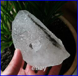 1.64LB Big Amazing Nirvana Quartz RARE Green Ghost Interference Quartz Point