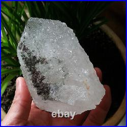 1.64LB Big Amazing Nirvana Quartz RARE Green Ghost Interference Quartz Point