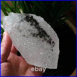 1.64LB Big Amazing Nirvana Quartz RARE Green Ghost Interference Quartz Point