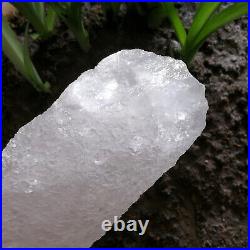 1.7LB 7in Big Amazing Nirvana Quartz Rare Long Interference Quartz Crystal Point