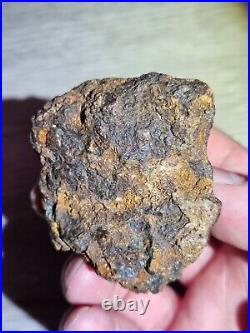 125g Big SERICHO PALLASITE meteorite Habaswein 6x5x3cm Uncut Nice RARE size WOW