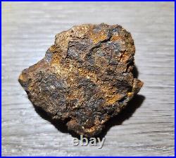 125g Big SERICHO PALLASITE meteorite Habaswein 6x5x3cm Uncut Nice RARE size WOW