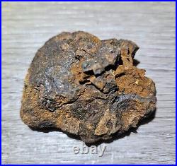 125g Big SERICHO PALLASITE meteorite Habaswein 6x5x3cm Uncut Nice RARE size WOW