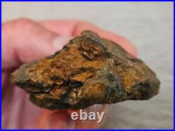 125g Big SERICHO PALLASITE meteorite Habaswein 6x5x3cm Uncut Nice RARE size WOW