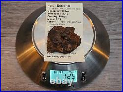 125g Big SERICHO PALLASITE meteorite Habaswein 6x5x3cm Uncut Nice RARE size WOW