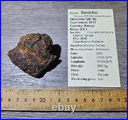 125g Big SERICHO PALLASITE meteorite Habaswein 6x5x3cm Uncut Nice RARE size WOW