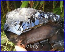 6.86LB Big Amazing Alligator Quartz Rare Smoky Skeletal Quartz Crystal Specimen