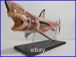 Big 13in Extremely Rare Shark 3D Model Jaws Marine Life Figure Art