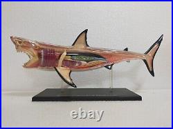 Big 13in Extremely Rare Shark 3D Model Jaws Marine Life Figure Art