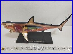 Big 13in Extremely Rare Shark 3D Model Jaws Marine Life Figure Art