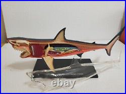 Big 13in Extremely Rare Shark 3D Model Jaws Marine Life Figure Art