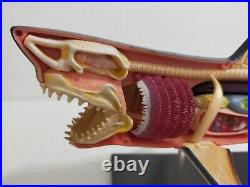 Big 13in Extremely Rare Shark 3D Model Jaws Marine Life Figure Art