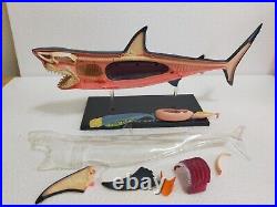 Big 13in Extremely Rare Shark 3D Model Jaws Marine Life Figure Art