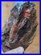 Big 4.4lb Rare Red Tiger Dendritic Dendrite Jasper Petrified Wood Large Cluster