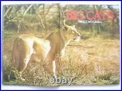 Big Cats Tiger Lion Rare Book Photos 1979