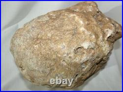 Big Large Unopened Kentucky Geode 19.4lb Rare Crystal Quartz Unique Gift 11in