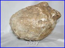 Big Large Unopened Kentucky Geode 19.4lb Rare Crystal Quartz Unique Gift 11in