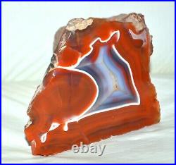 Big Red Banded Agate from Patagonia Argentina very rare collector piece