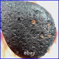 Big Teardrop Top Museum Grade Rare Collectible Indochinite Tektite Meteorite