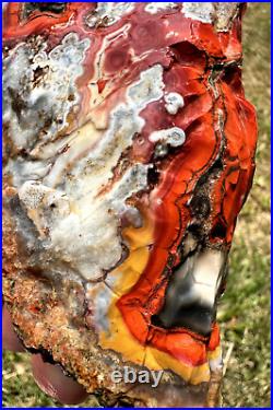 Large Natural Rare Kentucky Agate Rough from Estill County