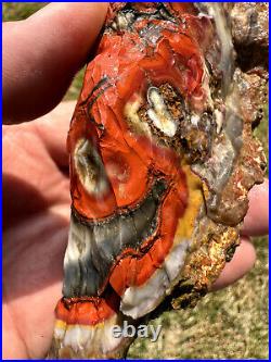 Large Natural Rare Kentucky Agate Rough from Estill County