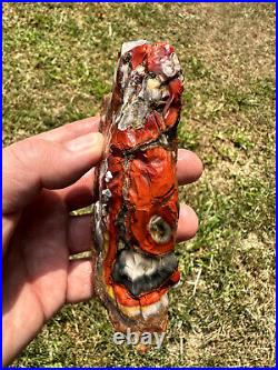 Large Natural Rare Kentucky Agate Rough from Estill County