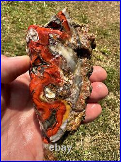 Large Natural Rare Kentucky Agate Rough from Estill County