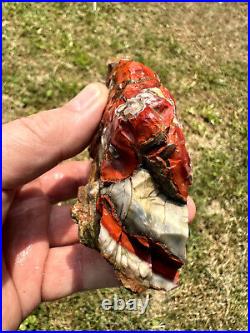 Large Natural Rare Kentucky Agate Rough from Estill County