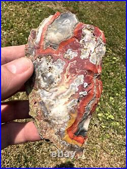 Large Natural Rare Kentucky Agate Rough from Estill County