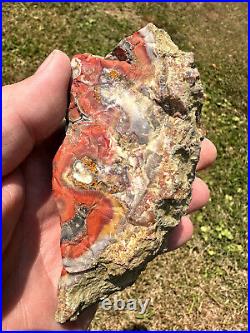 Large Natural Rare Kentucky Agate Rough from Estill County