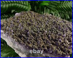 MUSEUM BIG Rare Amethyst with Pyrite From Famous Chala Mine, Bulgaria