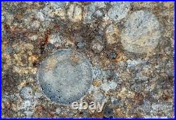 Meteorite NWA 11386 L3 Chondrite RARE Big 5.5mm cryptocrystalline Chondrule