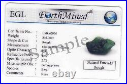 Most Rare Collection 9350 Ct Brazil Big Rough Green Emerald Huge (Large) Gems NS