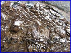 PLATE WITH ULTRA RARE BIG (17cm) FISH FOSSIL. MESSEL. GERMANY. Nº22
