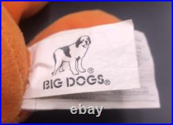Pokemon Plush Big Dogs Parody Dogemon Charmander Super Rare Good Condition