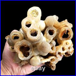RARE! 1300 gr Natural big Stalactite Chalcedony from Indonesia
