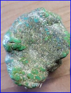 RARE BIG 137 grams Carico Lake NV Turquoise Pseudomorph Clam Gem Grade Specimen