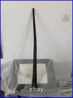 RARE BIG Huge Gemsbok Horn Oryx Oryx Shofar 33.4 (84.3cm) Kosher From Israel