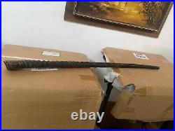 RARE BIG Huge Gemsbok Horn Oryx Oryx Shofar 33.4 (84.3cm) Kosher From Israel