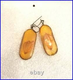 RARE Baltic amber BIG MOTH insect Fossil inclusion Earrings cabochon 3.72 grams