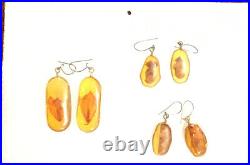RARE Baltic amber BIG MOTH insect Fossil inclusion Earrings cabochon 3.72 grams