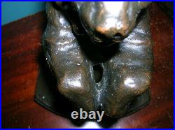RARE antique bear animal bookends KBW Kathodian Kathodion Bronze clad, 1915, BIG