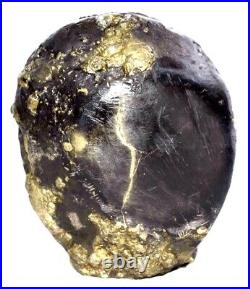 Rare Big Size Shri Vitthala Giridhari on Golden Govardhana Shaligram Shilla