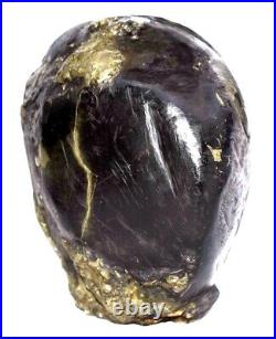 Rare Big Size Shri Vitthala Giridhari on Golden Govardhana Shaligram Shilla