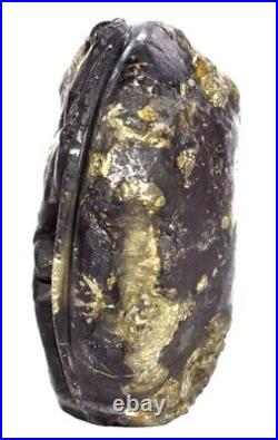 Rare Big Size Shri Vitthala Giridhari on Golden Govardhana Shaligram Shilla