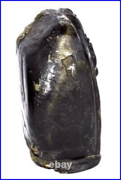 Rare Big Size Shri Vitthala Giridhari on Golden Govardhana Shaligram Shilla