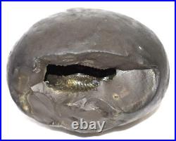 Rare Big Size Varaha Shaligram / Lakshmi Varaha Salagram Gandaki River Nepal